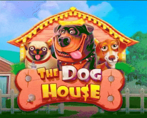 Mostbet slots: The Dog House con símbolos caninos